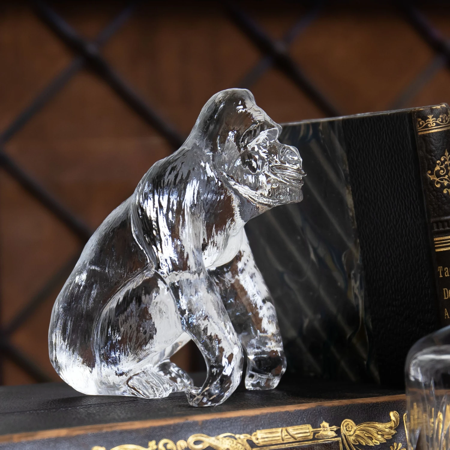 Gorilla 2 Gorilla - Image 2